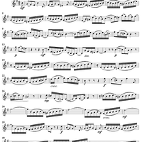 "Zum reinen Wasser er mich weist", Aria, No. 2 from Cantata No. 112: "Der Herr ist mein getreuer Hirt" - Violin