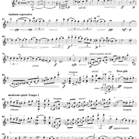 Violin Concerto in E Minor - Violin