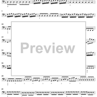 Flute Concerto in G Minor ("La Notte")  - Op. 10, No. 2 - RV 439 - Cello