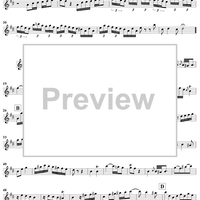 Trio Sonata No. 1 in D Major - Flute 2