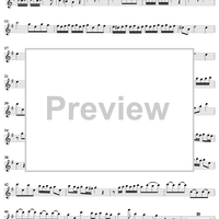 Concerto in E Minor for Recorder and Flute