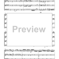 The Violin Concerti - Score