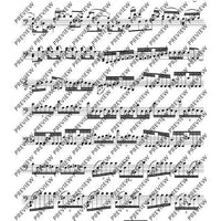 Cadenzas in C major - Cello
