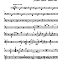 La Danza (taranetella napoletana) - Cello