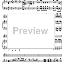 Concerto No. 4 D Major KV218 - Score