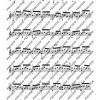 Flute Partita in A minor