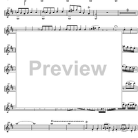 Concerto No. 4 D Major KV218 - Violin
