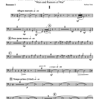 Concerto For Tuba - Bassoon 1