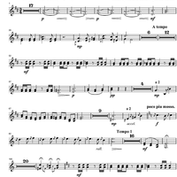 Argentinian Rhapsody - Horn in F