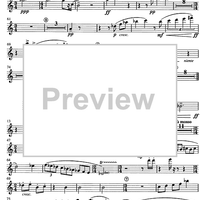 Concertino giocoso Op. 12 - Flute 2