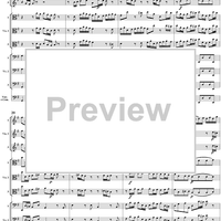 Brandenburg Concerto No. 3: Movement 1 - Score