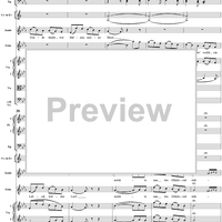 "Meine Seele hüpft vor Freuden", No. 5 from "Zaide", Act 1, K336b (K344) - Full Score