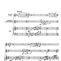 Trio Capriccioso - Score