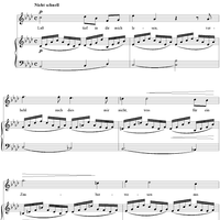 Lieder und Gesänge, op. 96, no. 3:  Ihre Stimme