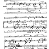 Preludio e Danza Camaleontica - Score