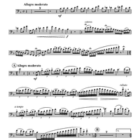 Polka Fantastic - Solo Euphonium BC/TC