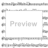 Concerto No. 3 G Major, KV216 - Violin