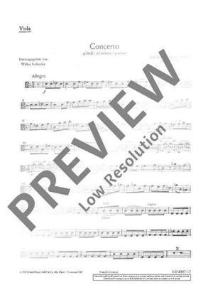 Concerto G Minor - Viola