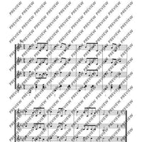 Hackbrett und Flöte - Performing Score