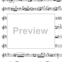 Quartet D Major KV285 - Flute