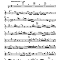 Concerto for Oboe in F Major, K. 313 for Oboe and String Quartet - Oboe