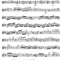 Concerto D Major Op. 1 - Viola
