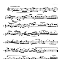 The Accomplished Clarinettist Vol. 3 - Clarinet