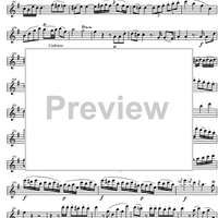Concerto No. 3 G Major, KV216 - Violin