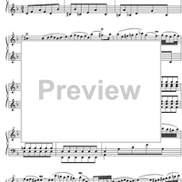 Concerto g minor BWV 975