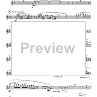 Concerto for Piccolo and Piano - Flute