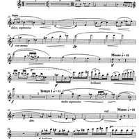 Musica per quattro strumenti - Flute