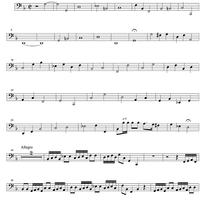 Sonata a 6 - Violone/Continuo