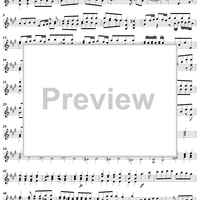 Violin Sonata No. 6 - Violin