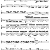 Introduction and Allegro - Violin 2