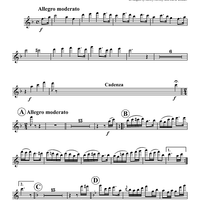 Polka Fantastic - Flutes