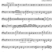 String Quintet Eb Major Op. 4 - Cello