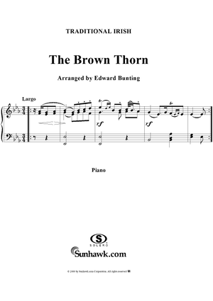 The Brown Thorn