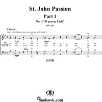 St. John Passion: Part I, No. 3, "O grosse Lieb"