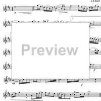 Air D Major BWV 1068 - Solo Violin