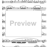 Concerto Op.93 - Flute