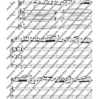Cadenza for the Brandenburg Concerto No. 3 G major by Johann Sebastian Bach - Performing Score