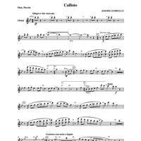 Callisto - Flute