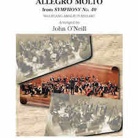Allegro Molto from Symphony No. 40 - Double Bass