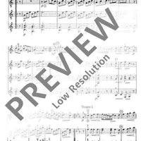 Musik der Wiener Klassik - Performance Score