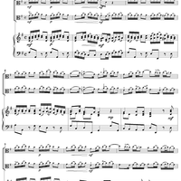 Concerto In G Major For Two Violas