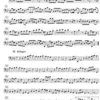 Trio Sonata g minor - Continuo