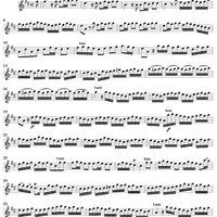 Violin Concerto in D Major    - from "L'Estro Armonico" - Op. 3/9  (RV230) - Violin 1