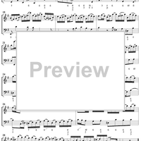 Flute Sonata no. 5 in E Minor (BWV1034)