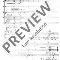 Schumann in Endenich - Score (also Performance Score)