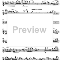 Quintetto Op.91 - Flute
